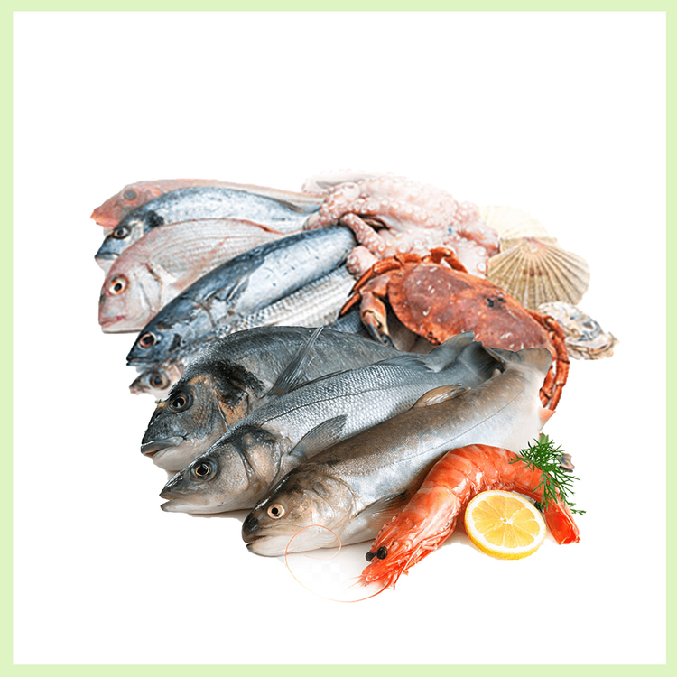 Meat and Seafoods